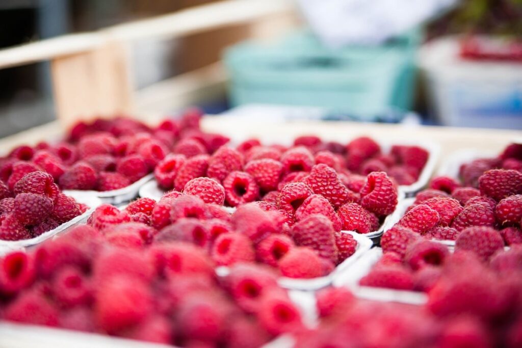 The Land of Raspberries