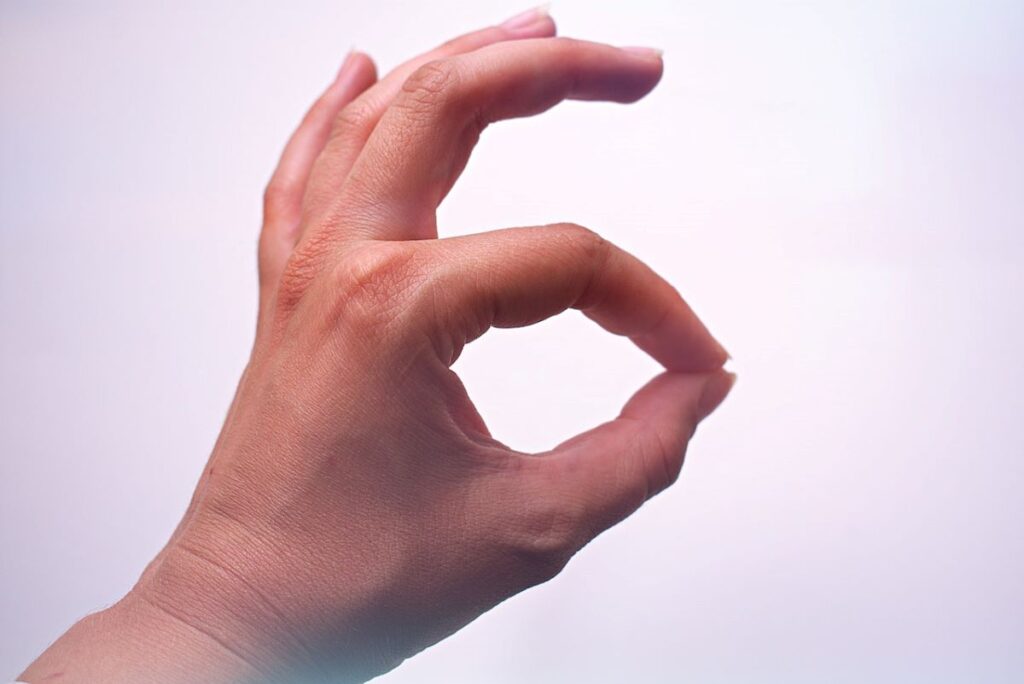 Sign Language: Expressions and Gestures