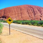 Discovering Australia: A Gorgeous Land of South