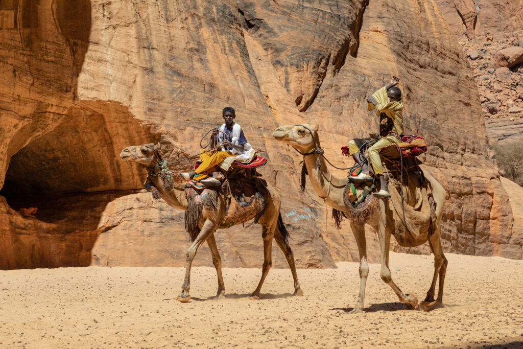 The Camel Racing Arena