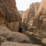 Meet Chad: The Desert's Majestic Wonder