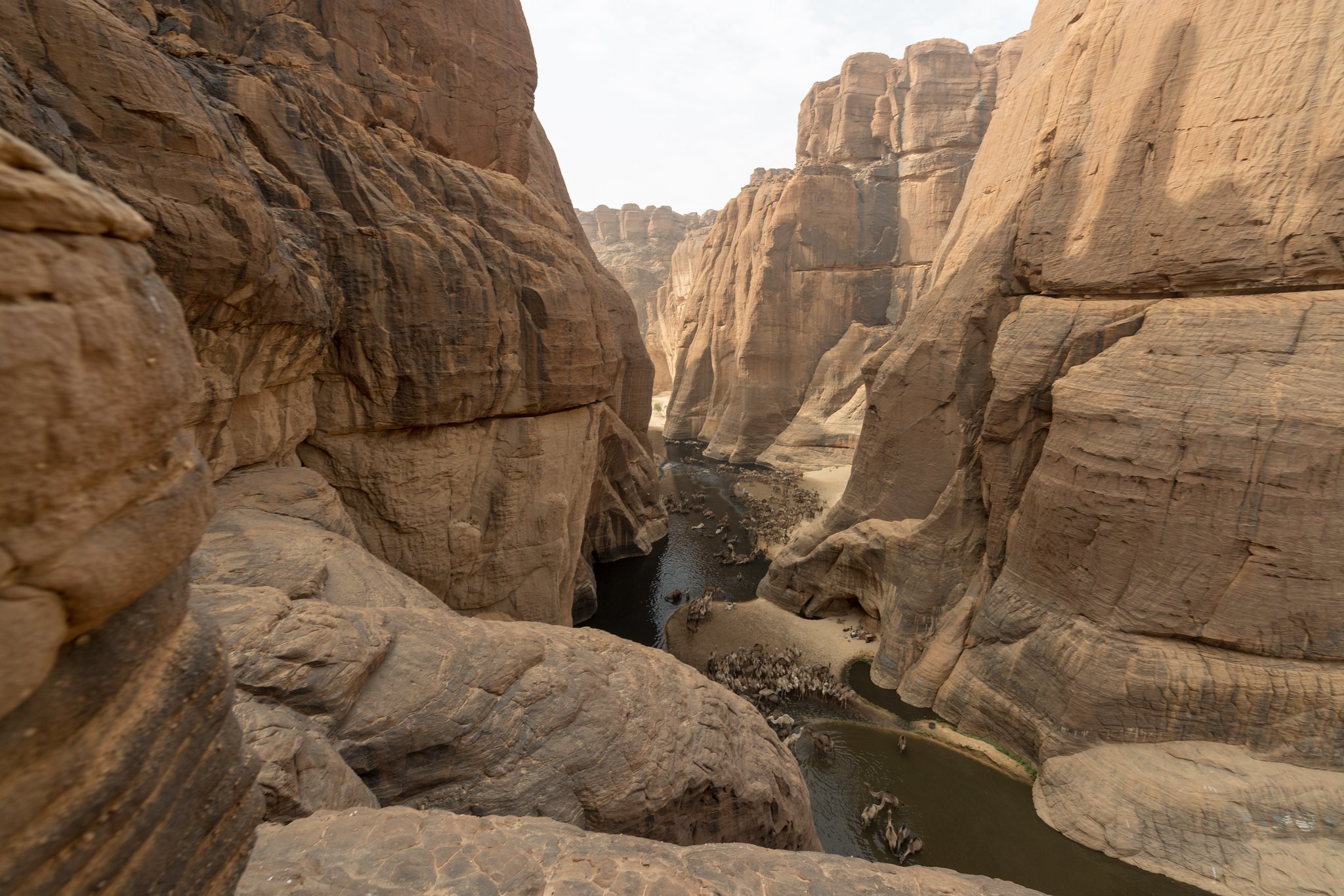 Чад вода. Оазис Аршей. 3 Достопримечательности Африки. Чад красивые фото. Фото Гельта.