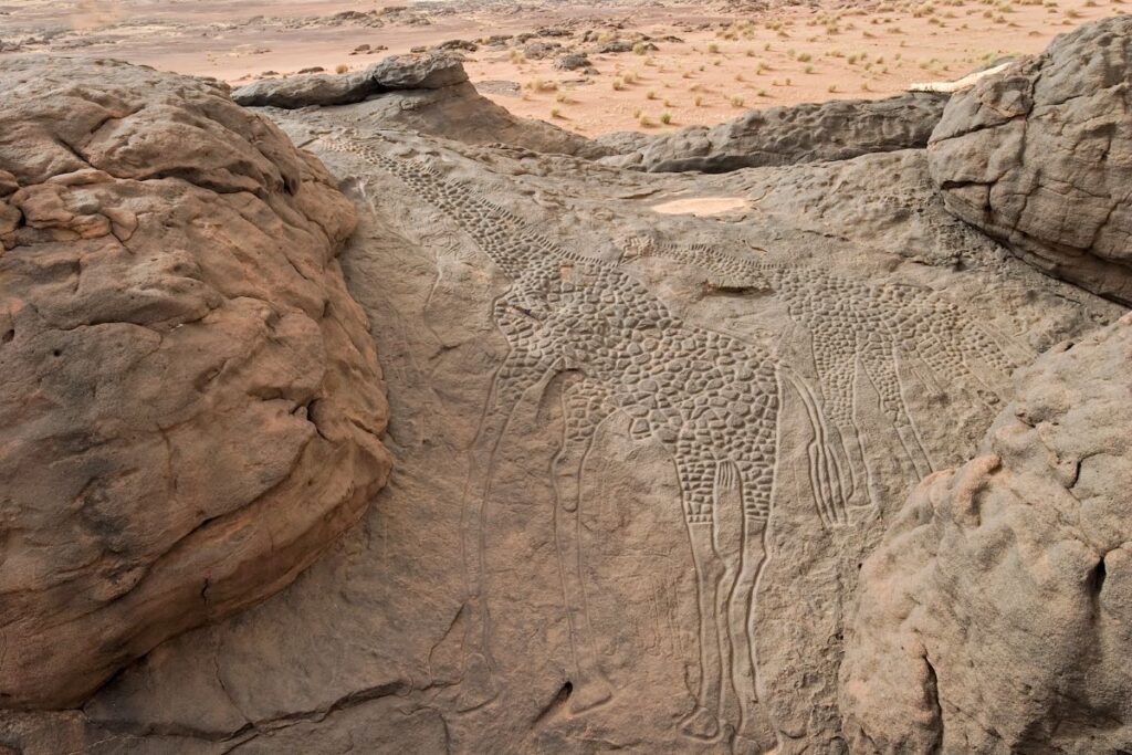 The World's Largest Animal Carvings