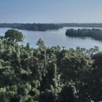 Gabon: The Emerald of Equatorial Africa