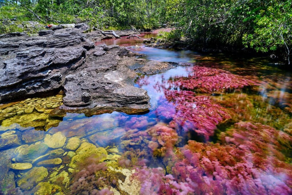 Liquid Rainbow